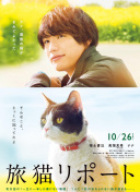 少年四大名捕PVP对战技巧：成为对战高手的秘籍